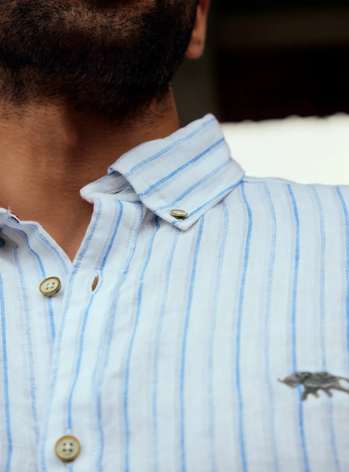 Blue Coast Stripe Shirt